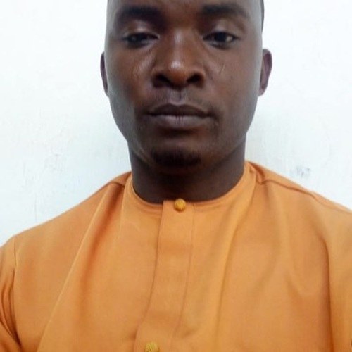 Portrait of Mr. Rotimi James Omolehin