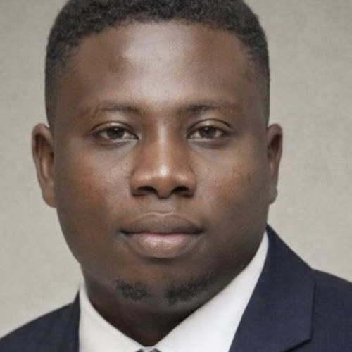 Portrait of Mr. Samson Olaoluwa Amosu